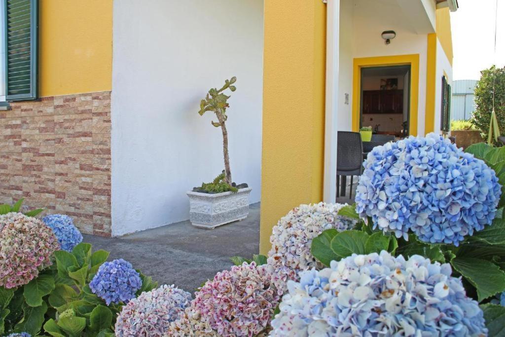Villa Casas Da Boa Vista Horta  Exterior foto
